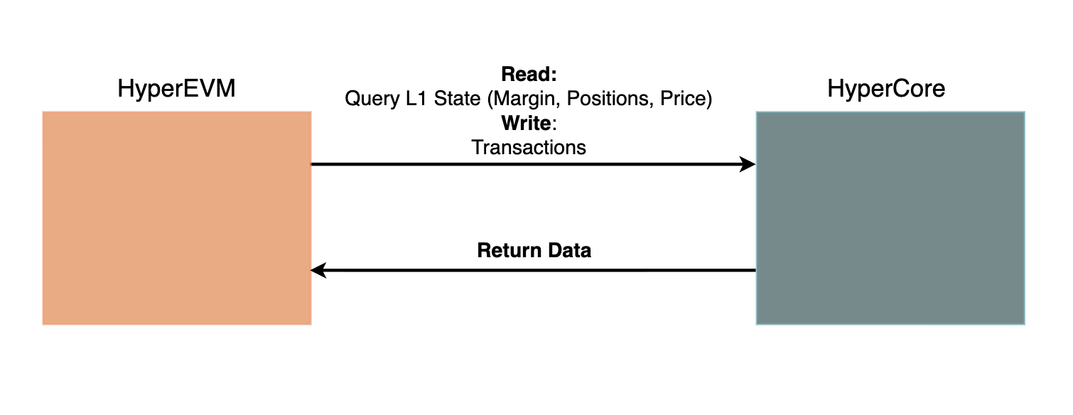 HyperEVM reads state and sends transactions to HyperCore, which returns data.